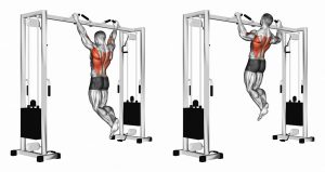 chin ups