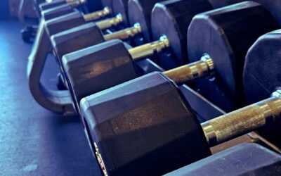 The Gym – More Than Just a Workout