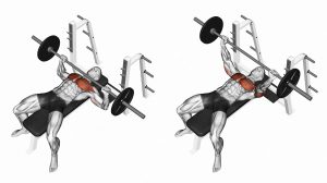 bench press image